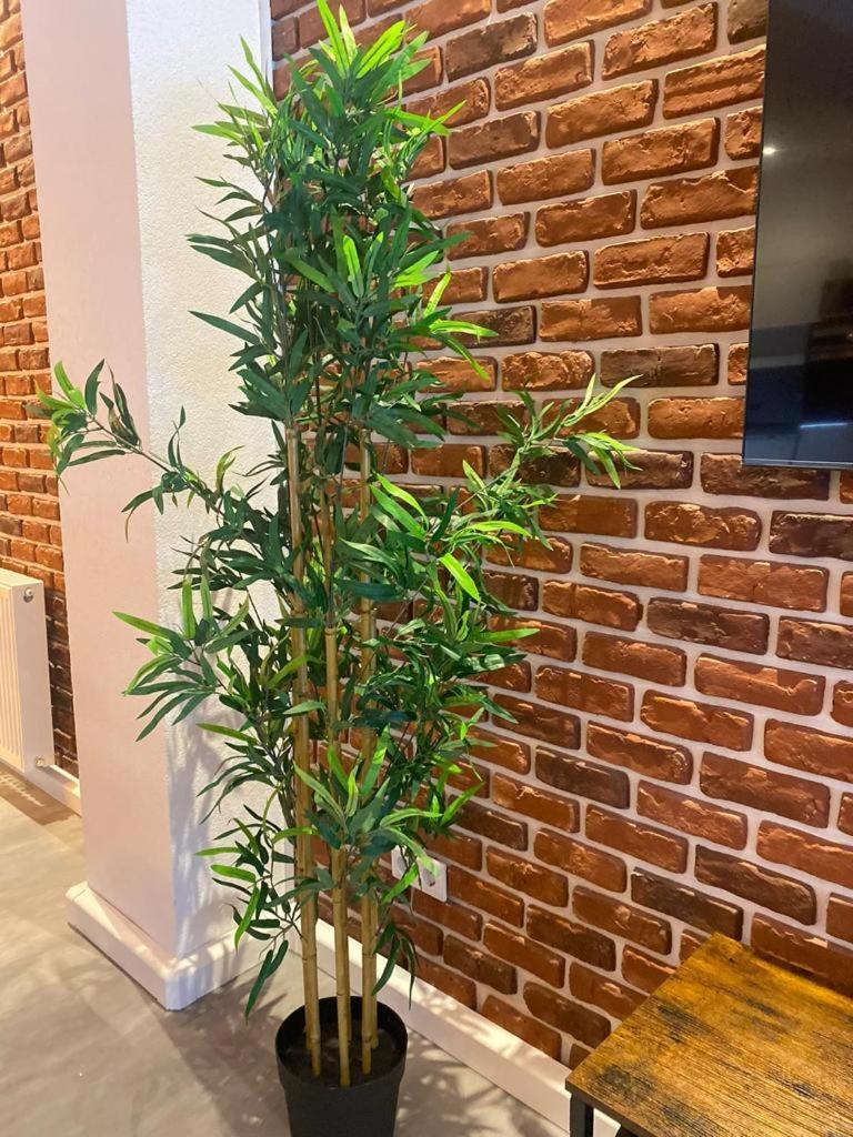 Luxurioese Loft Mit Garten Naehe Duesseldorf Messe Krefeld Exteriér fotografie