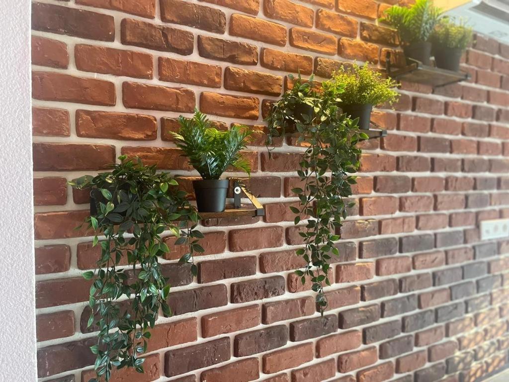 Luxurioese Loft Mit Garten Naehe Duesseldorf Messe Krefeld Exteriér fotografie